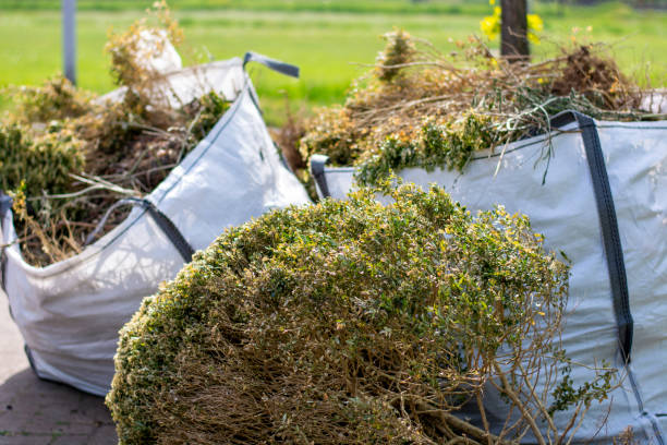 Best Same-Day Junk Removal  in Little Flock, AR
